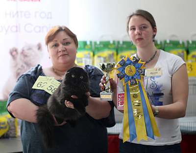 �������� ����� 11-12 ������ 2015 WCF-����� 5-59-169A4682 copy.jpg